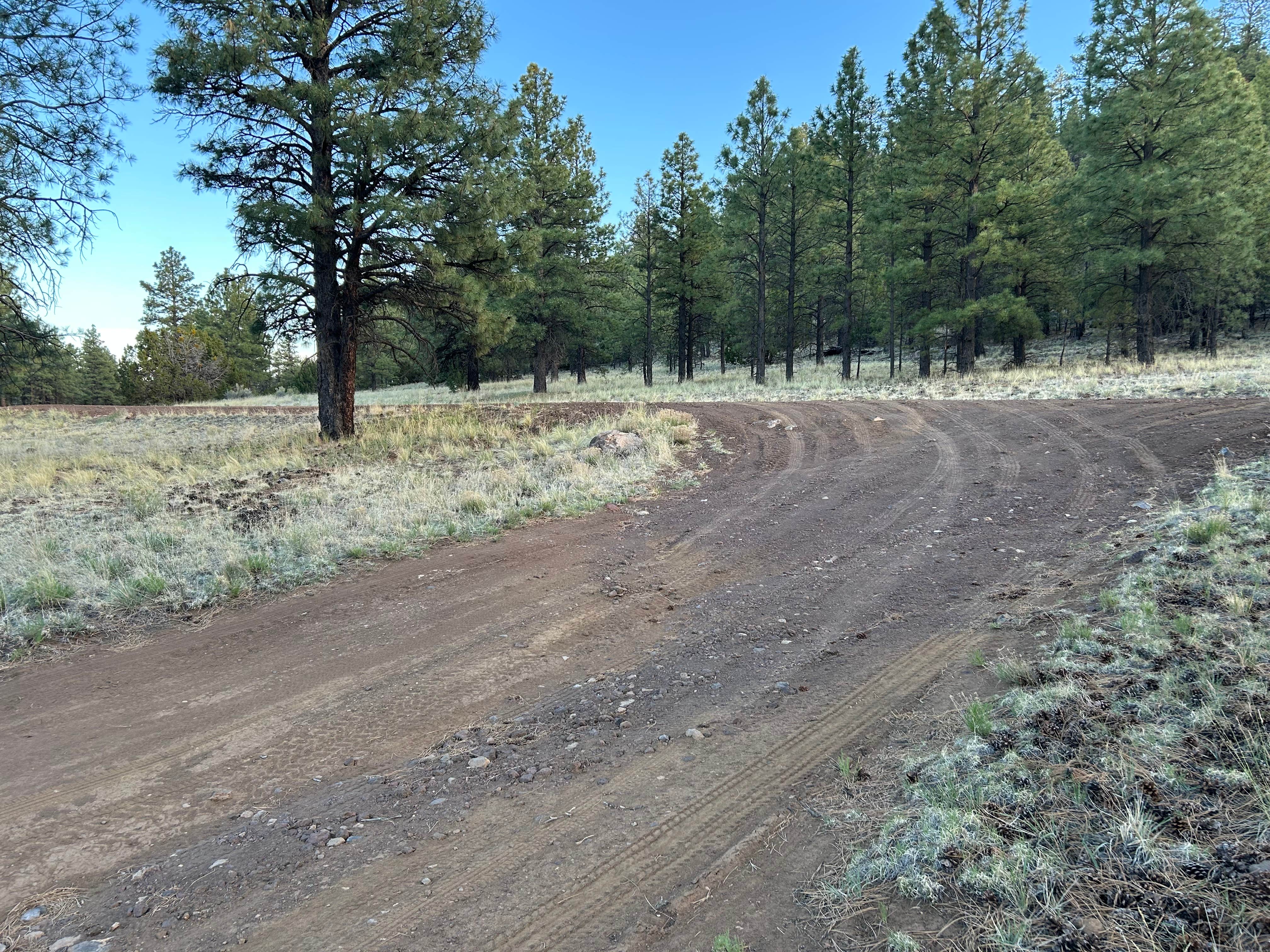 Camping near Cinder Hills Off Highway Vehicle Area: National Forest 418, Flagstaff, Arizona
