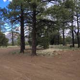 Review photo of National Forest 418 by Randall B., April 13, 2026