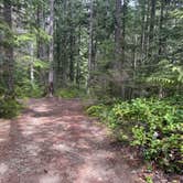 Review photo of National Forest 84 by Kellan W., May 4, 2025