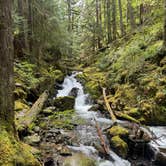 Review photo of National Forest 84 by Kellan W., May 4, 2025