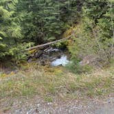 Review photo of National Forest 84 by Kellan W., May 4, 2025