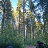 Review photo of NF-65 National Forest Dispersed Site by Brooks H., June 23, 2024