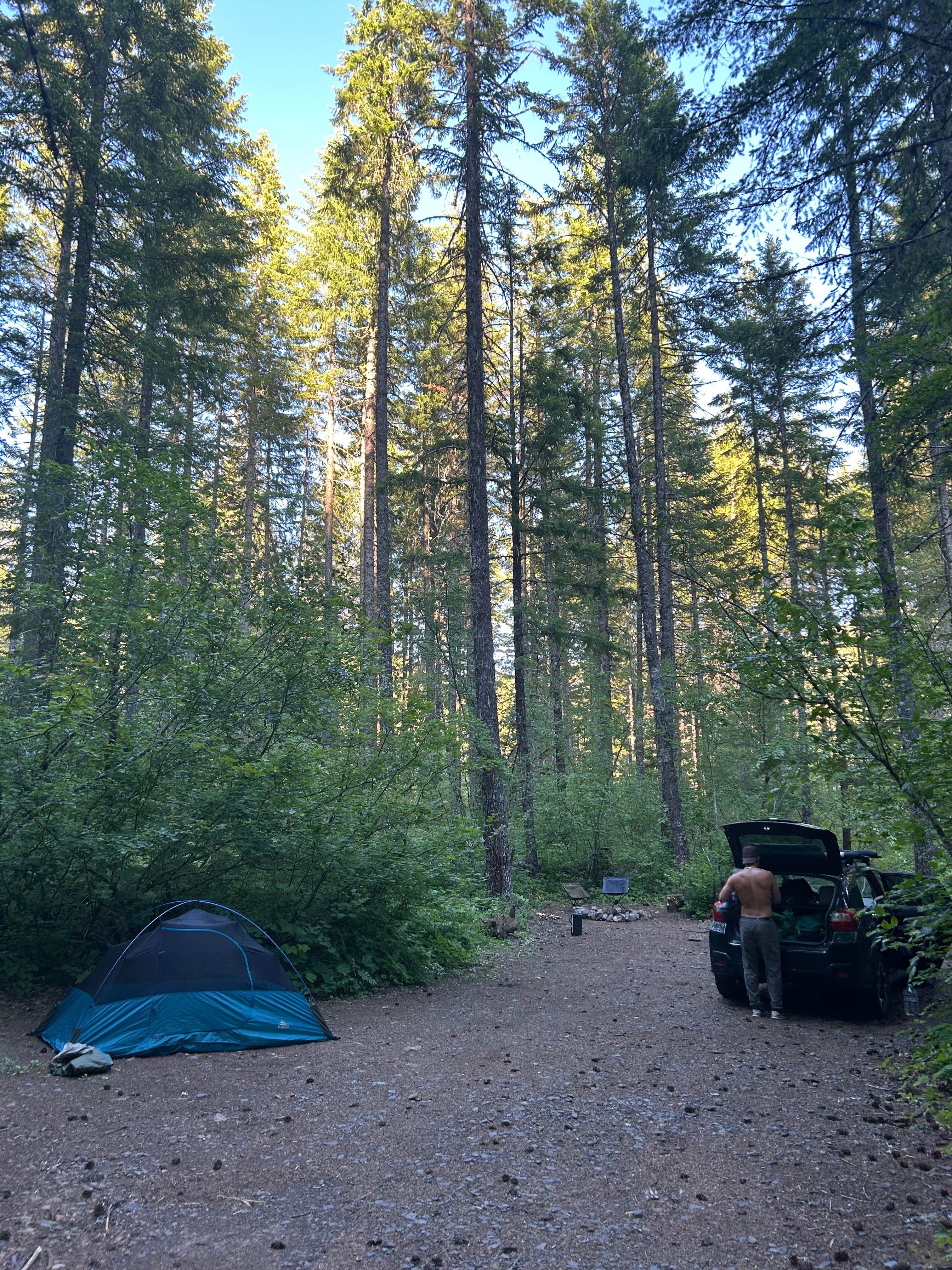 Camper submitted image from NF-65 National Forest Dispersed Site - 1