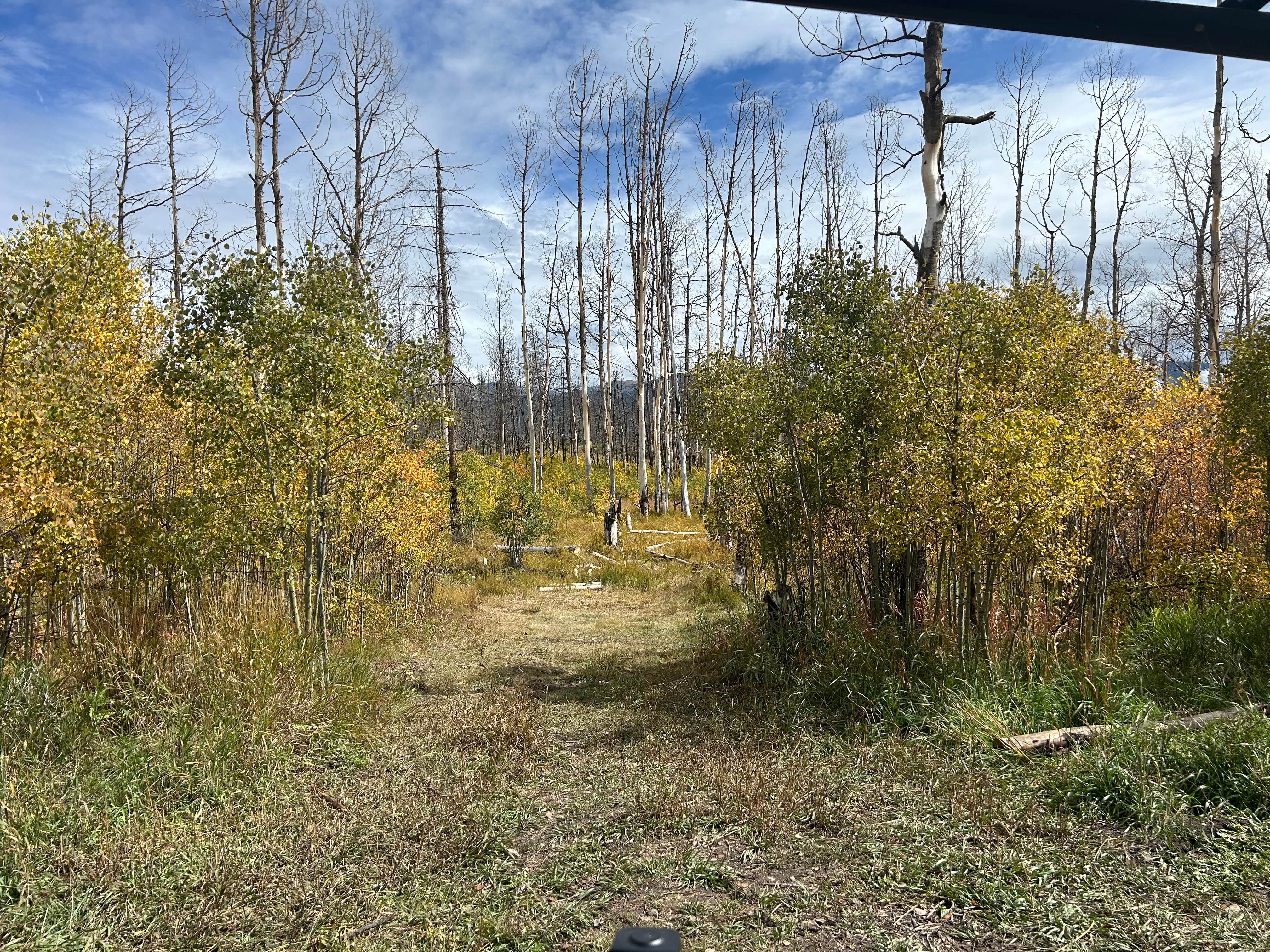 Camping near Dispersed Camping Apiatan Mtn: national forest dispersed camping near grand lake, Grand Lake, Colorado