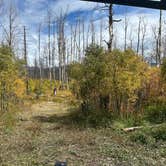 Review photo of national forest dispersed camping near grand lake by Pamela B., September 17, 2026