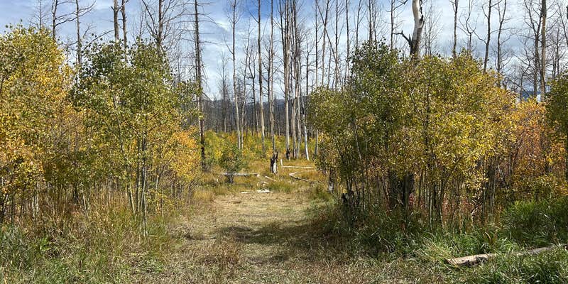 Camper submitted image from national forest dispersed camping near grand lake