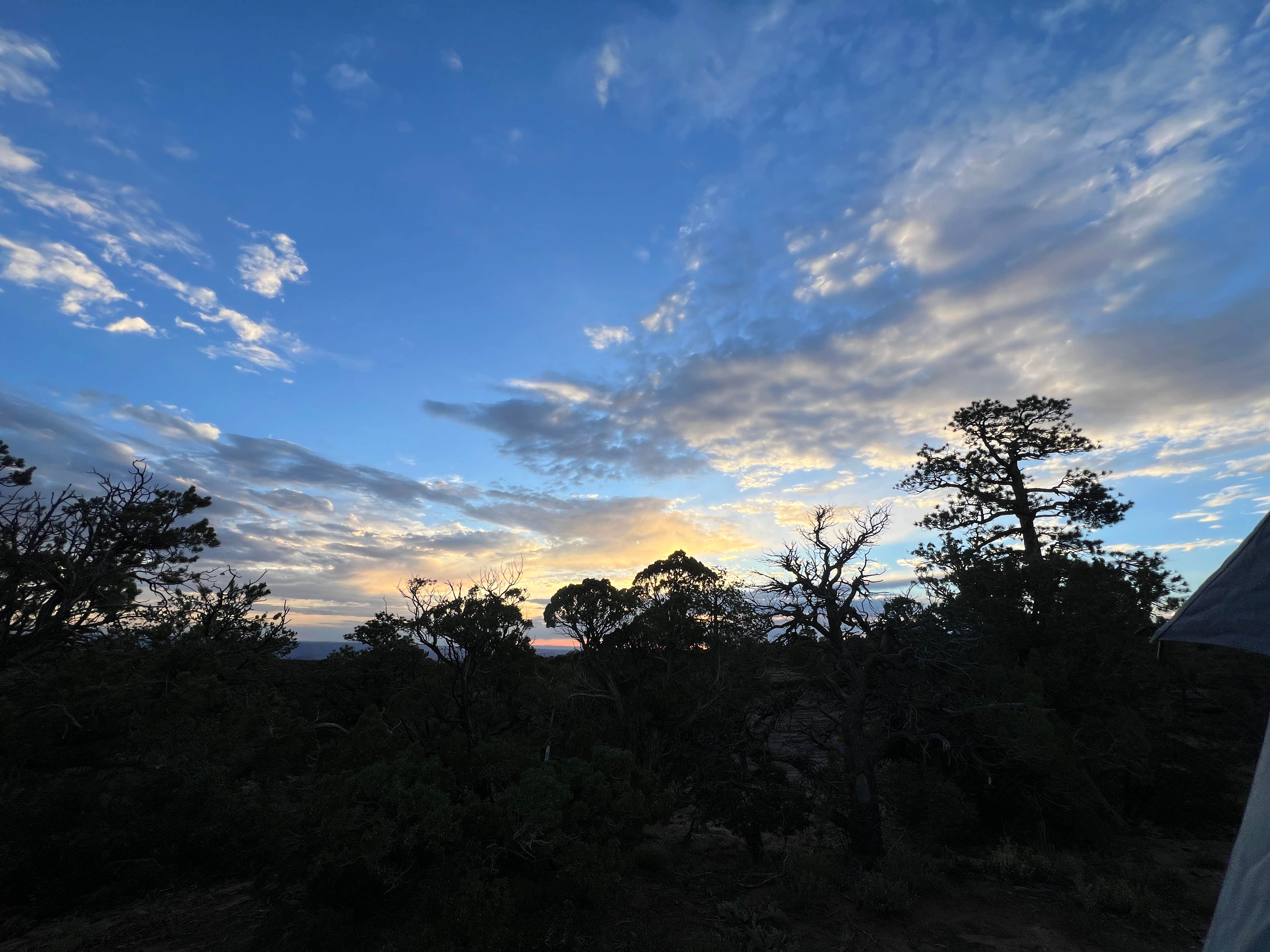 Andrew K.'s photo at National Forest Dispersed - Lupe2 Dispersed near Castle Valley, UT