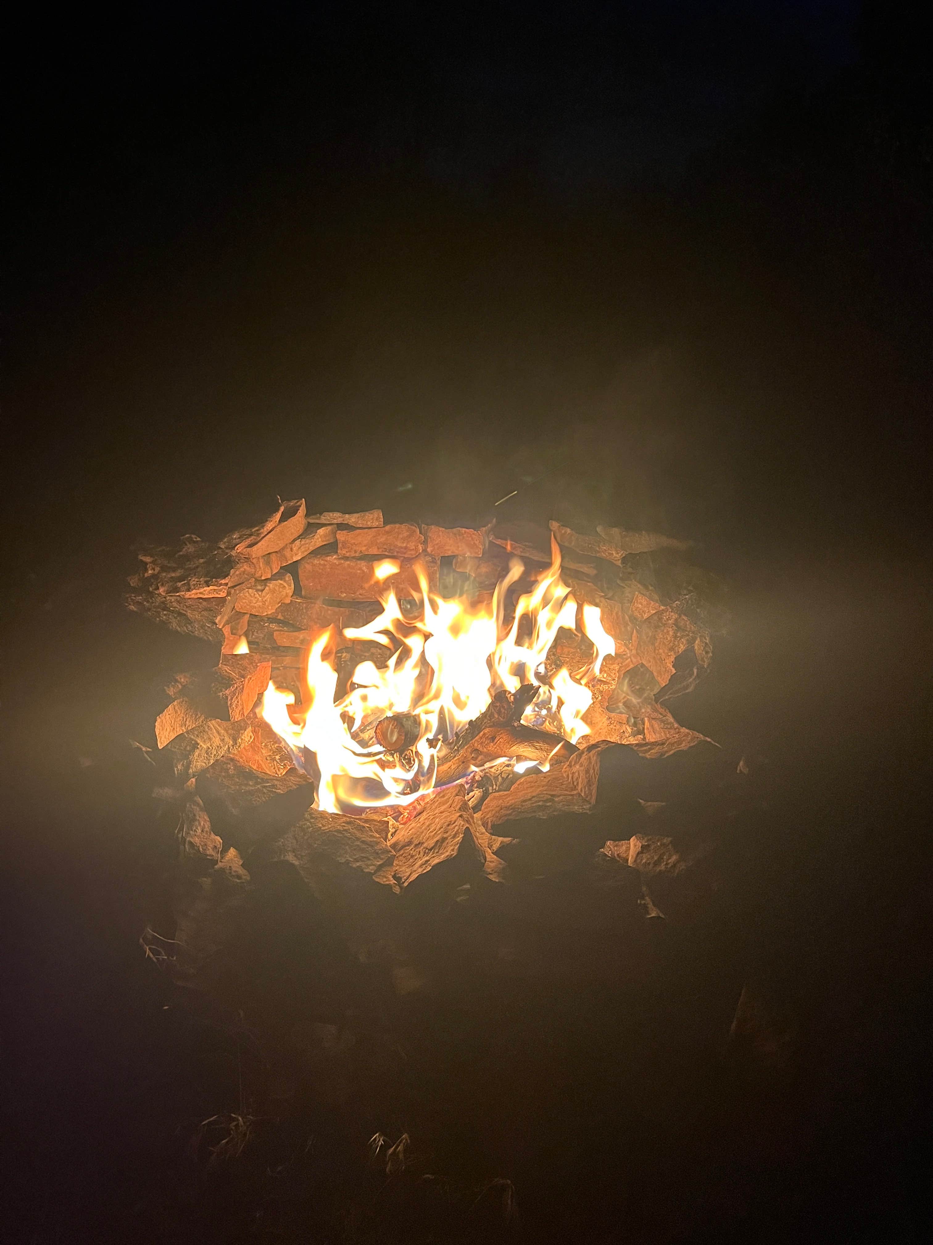 National Forest Dispersed - Lupe2 Dispersed