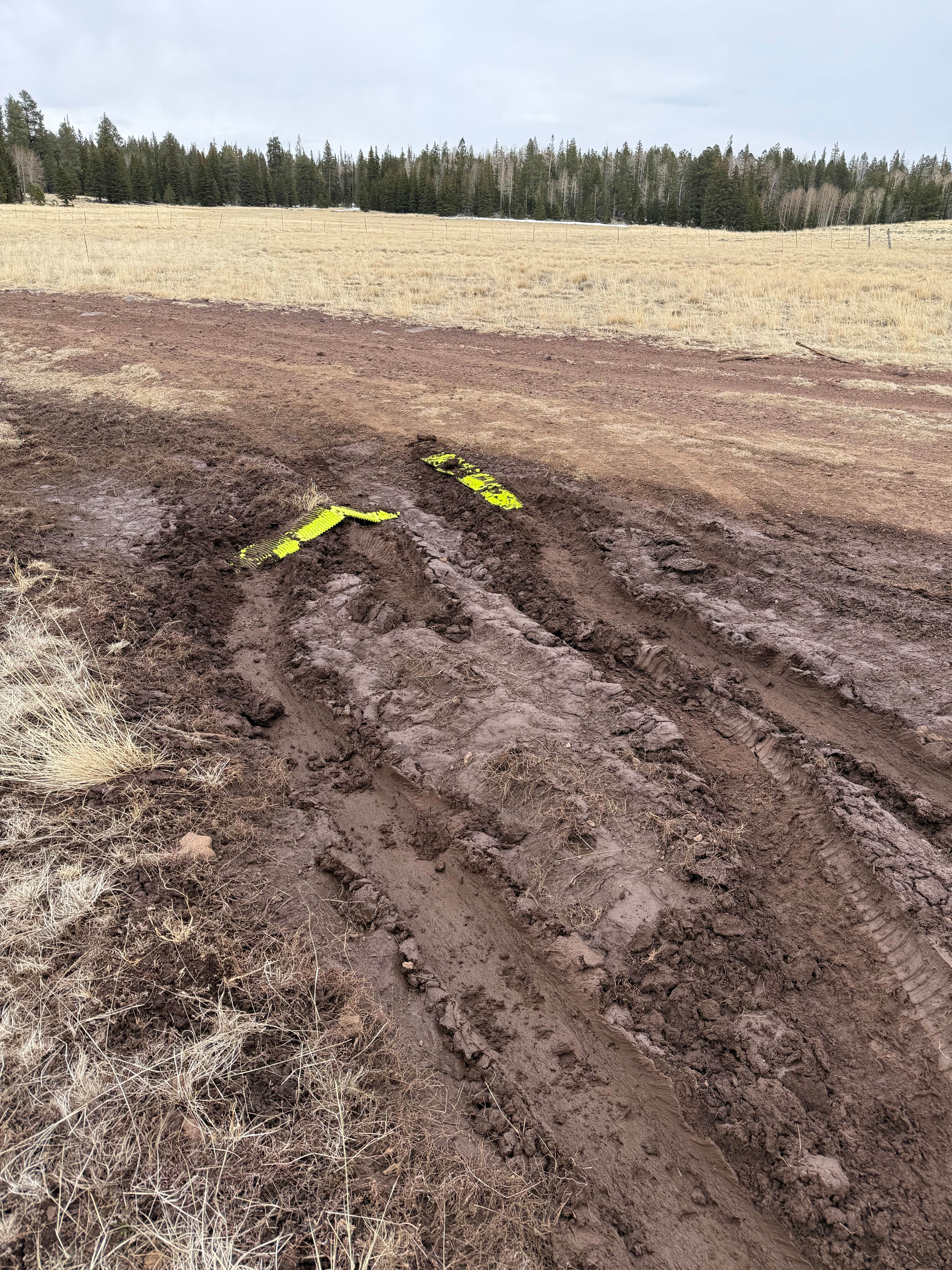 Camper-submitted photo at National Forest Road 117C near Whiteriver, AZ