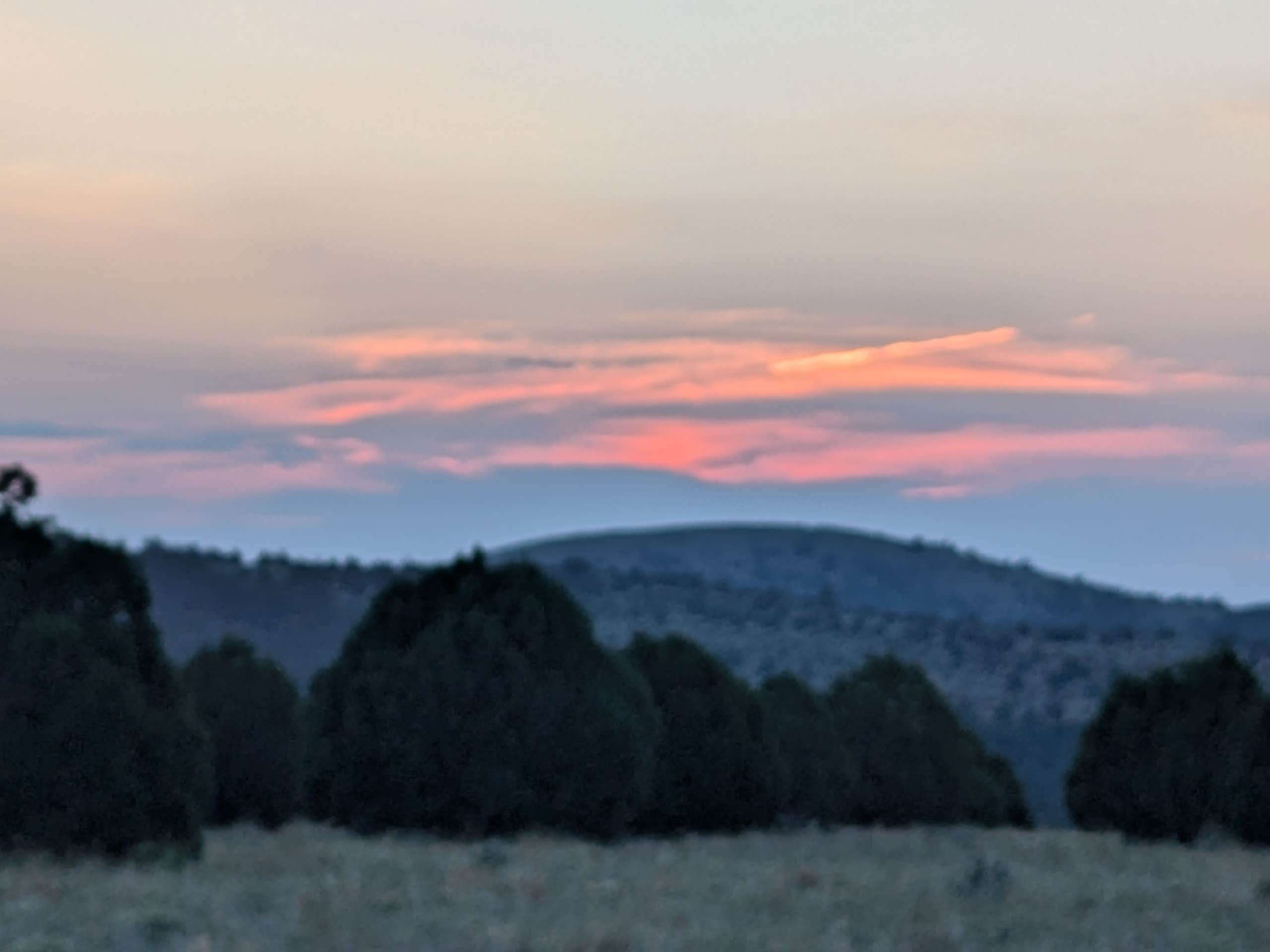 Gina B.'s photo of a dispersed camping area at National Forest Road 117C near Whiteriver, AZ