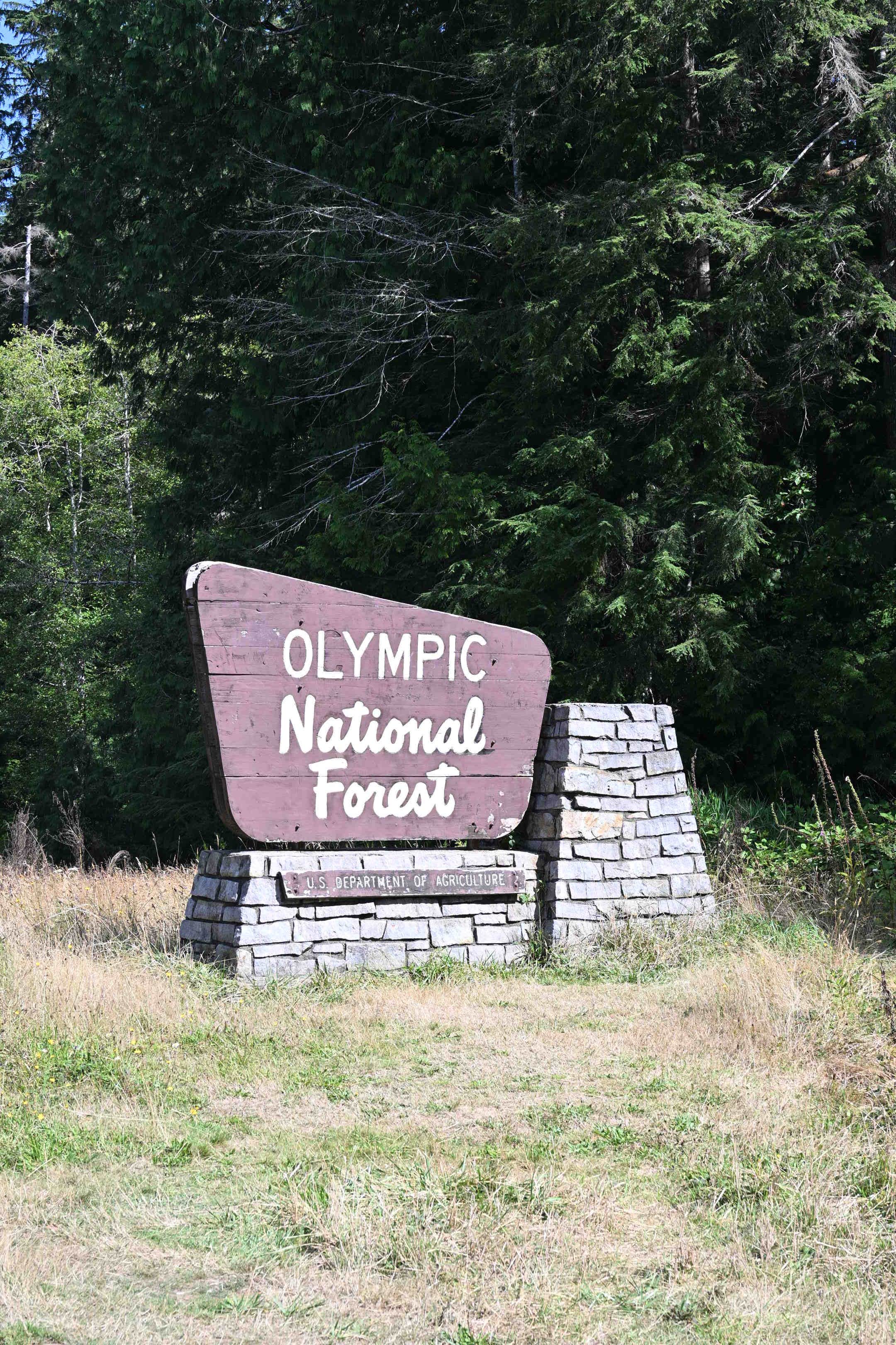 Camper-submitted photo at National Forest Road 2262 near Elma, WA