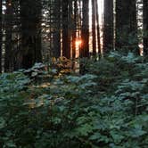 Review photo of National Forest Road 2262 by Grant M., August 10, 2026