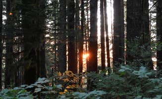 Grant M.'s photo of a dispersed camping area at National Forest Road 2262 near Lilliwaup, WA