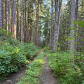 Review photo of National Forest Road 2262 by Kasey , July 9, 2026