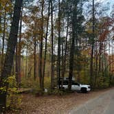 Review photo of National Forest Road/Steele Creek/Nates Place Dispersed Campsite by Christie S., November 4, 2025