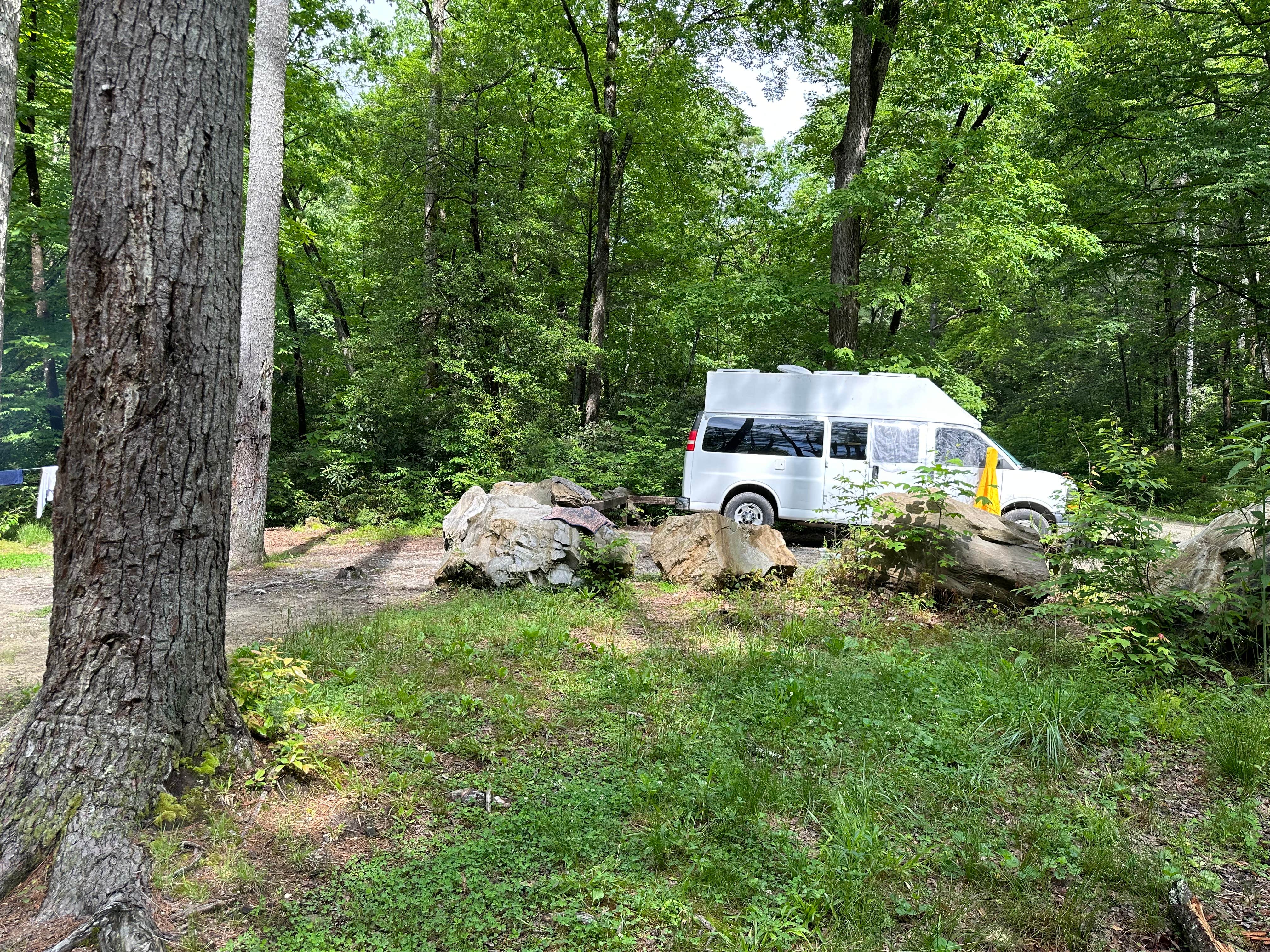 Camper submitted image from National Forest Road/Steele Creek/Nates Place Dispersed Campsite - 1