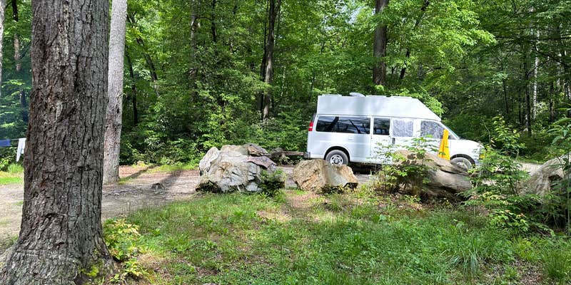 Camper submitted image from National Forest Road/Steele Creek/Nates Place Dispersed Campsite