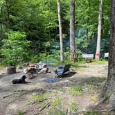 Review photo of National Forest Road/Steele Creek/Nates Place Dispersed Campsite by Brianna W., May 19, 2024