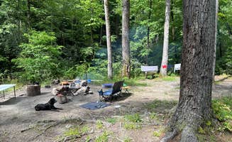 Brianna W.'s photo of a dispersed camping area at National Forest Road/Steele Creek/Nates Place Dispersed Campsite near West Jefferson, NC