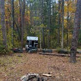Review photo of National Forest Road/Steele Creek/Nates Place Dispersed Campsite by Christie S., November 4, 2025