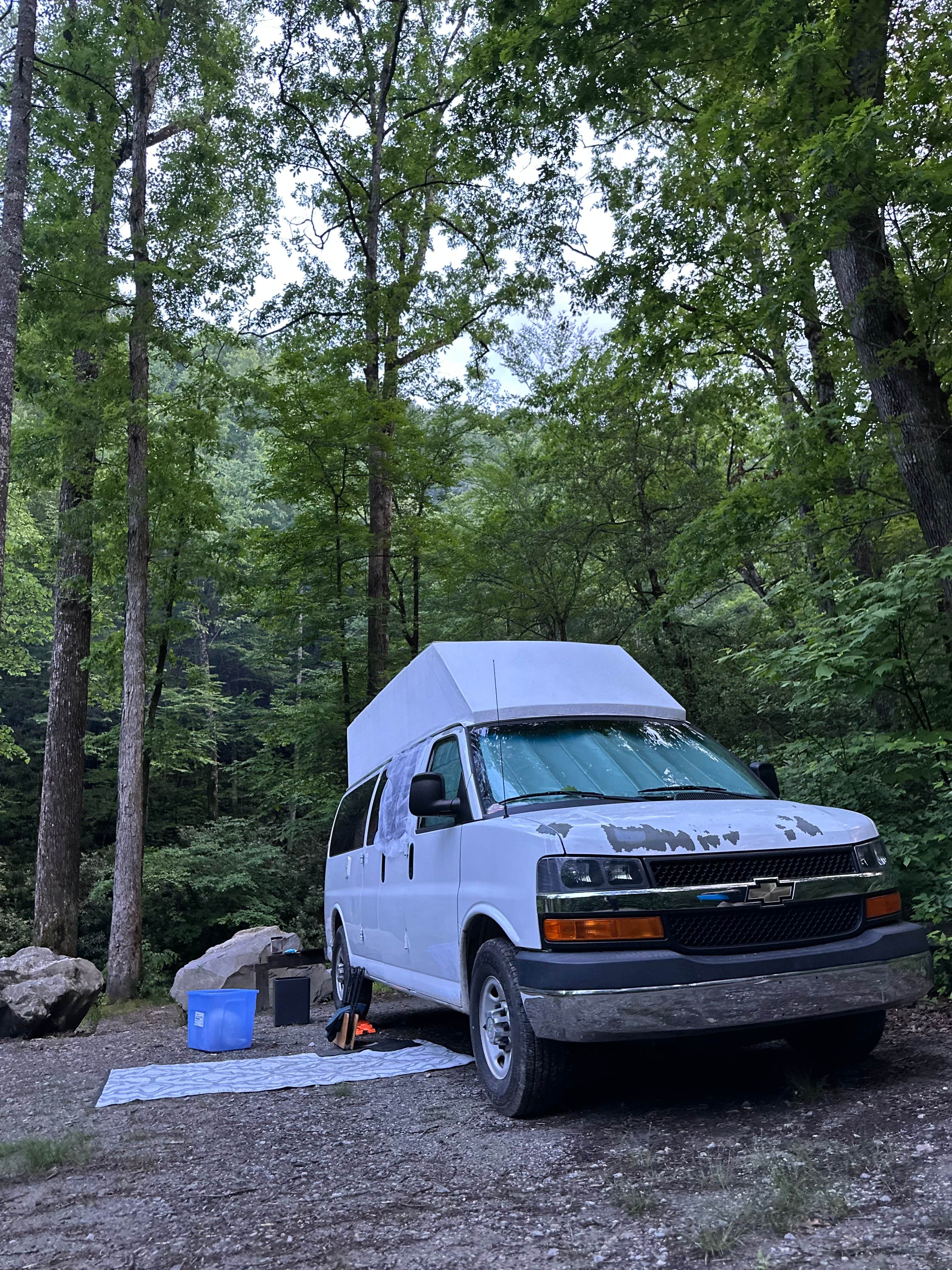 Camper submitted image from National Forest Road/Steele Creek/Nates Place Dispersed Campsite - 4