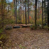 Review photo of National Forest Road/Steele Creek/Nates Place Dispersed Campsite by Christie S., November 4, 2025