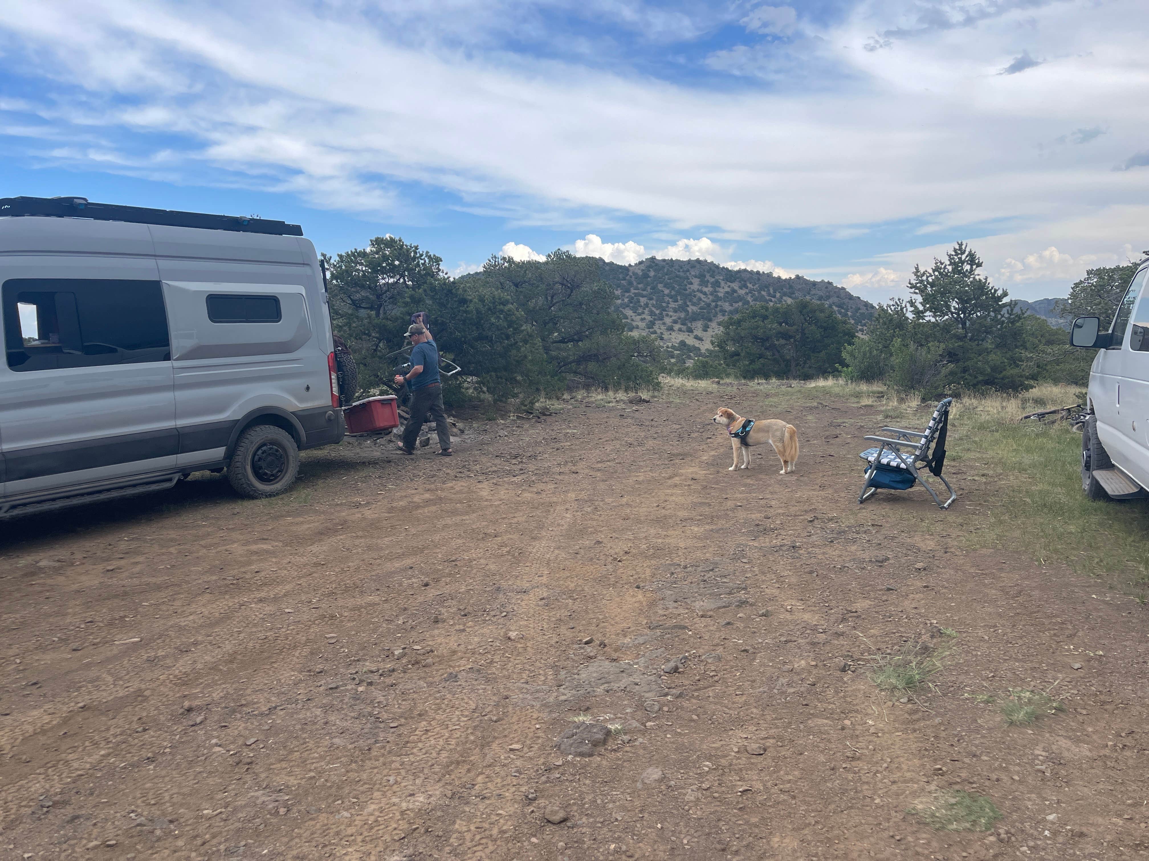 Julie K.'s photo of camping with pets at Natural Arch Dispersed Site near Del Norte, CO