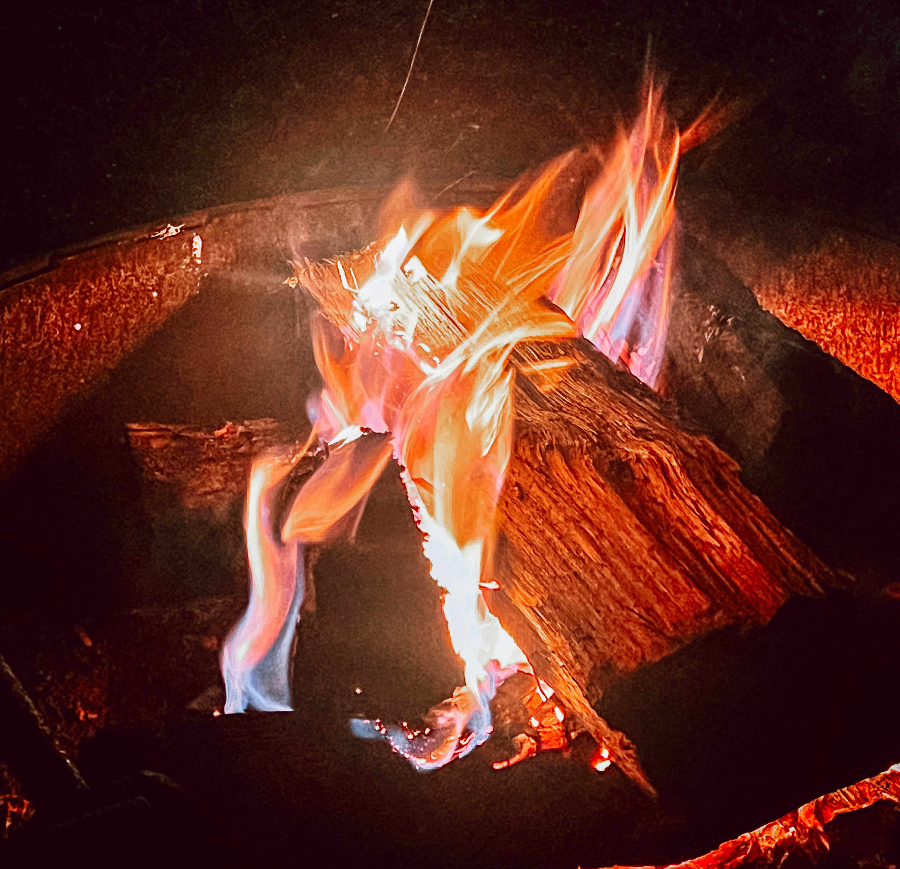 Camper-submitted photo at Natural Bridge Campground near Lexington, KY