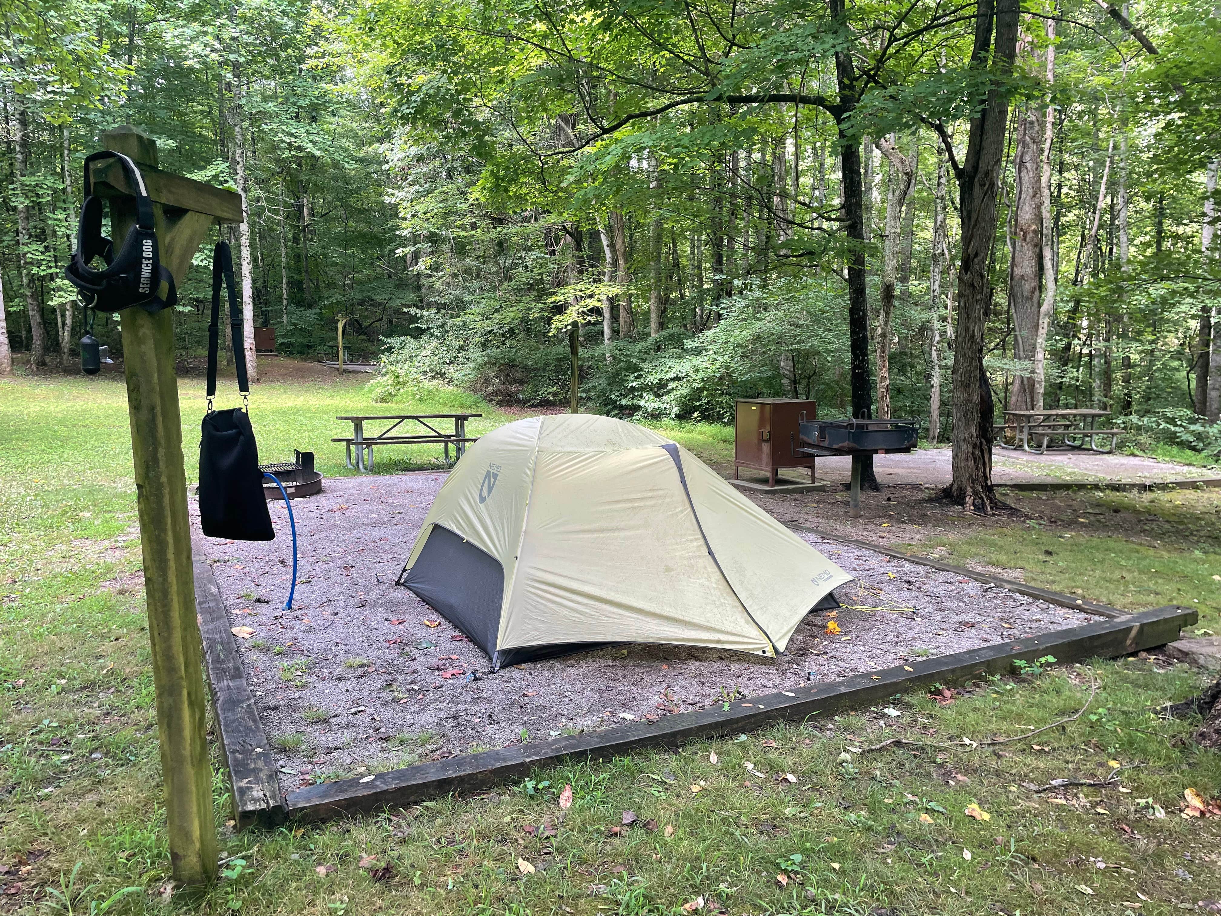 Sarah C.'s photo at Natural Tunnel State Park Primitive Camping — Natural Tunnel State Park near Eidson, TN