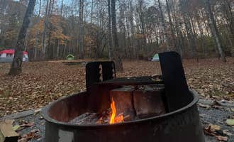 Camping near Jessie Lea RV Park and Campground: Cove View Campground — Natural Tunnel State Park, Duffield, Virginia