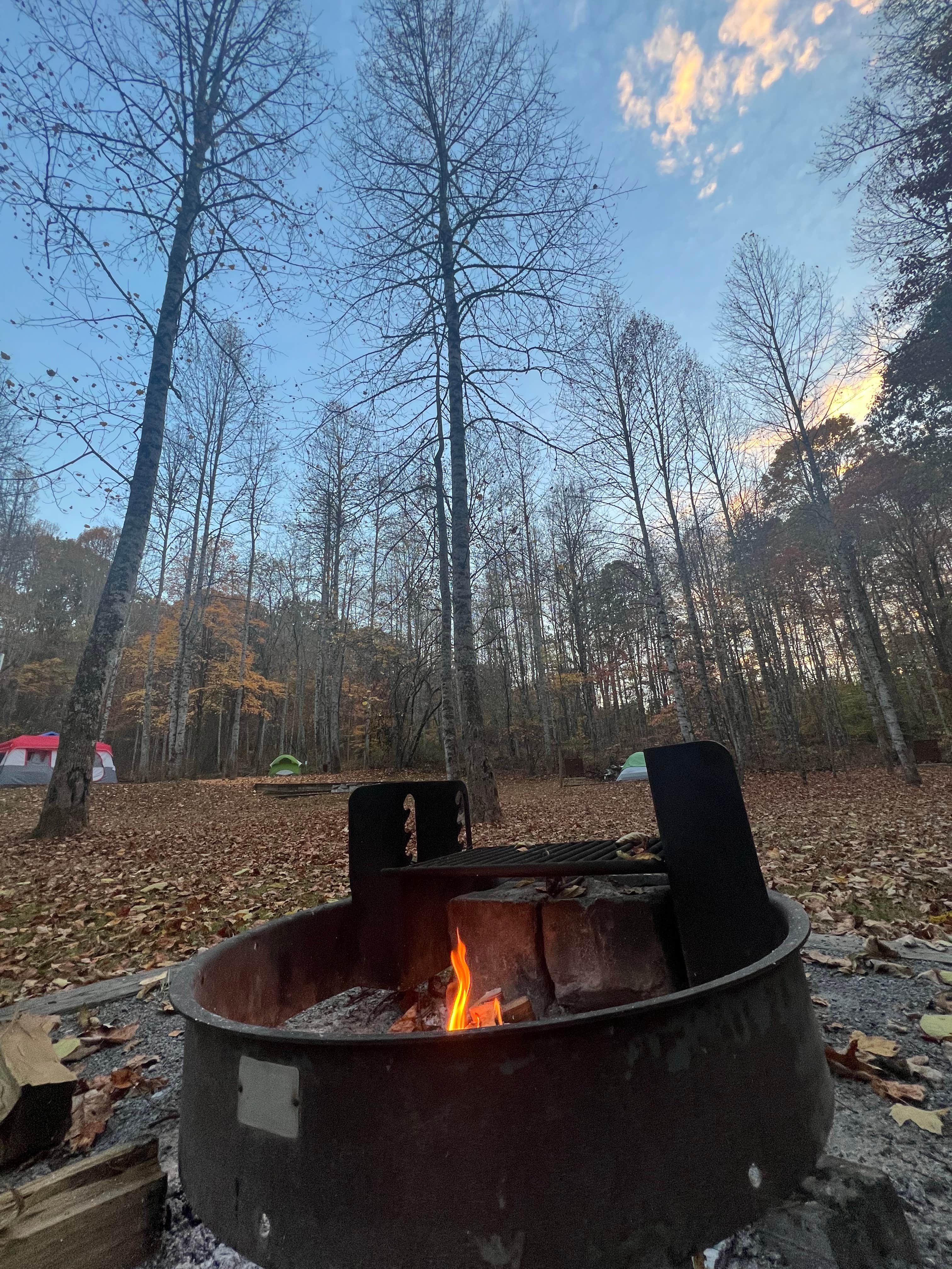 Camper submitted image from Cove View Campground — Natural Tunnel State Park - 1