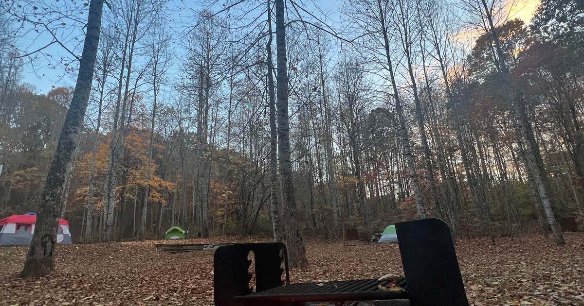 Cove View Campground — Natural Tunnel State Park