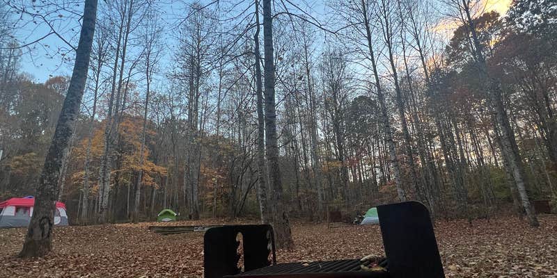 Camper submitted image from Cove View Campground — Natural Tunnel State Park