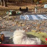 Review photo of Cove View Campground — Natural Tunnel State Park by Amethyst B., November 3, 2023