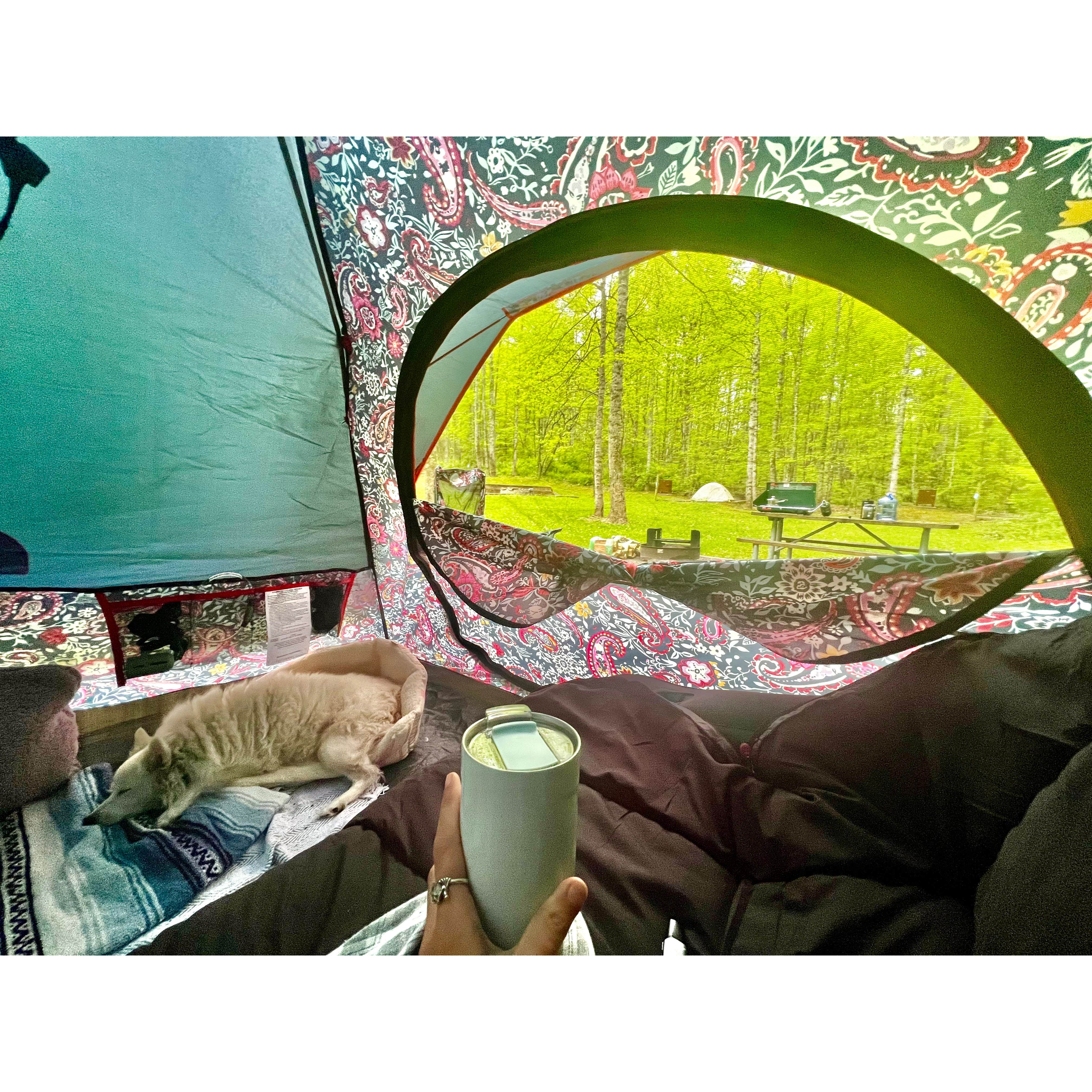 Amethyst B.'s photo at Cove View Campground — Natural Tunnel State Park near Eidson, TN