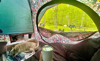 Amethyst B.'s photo at Cove View Campground — Natural Tunnel State Park near Lynch, KY