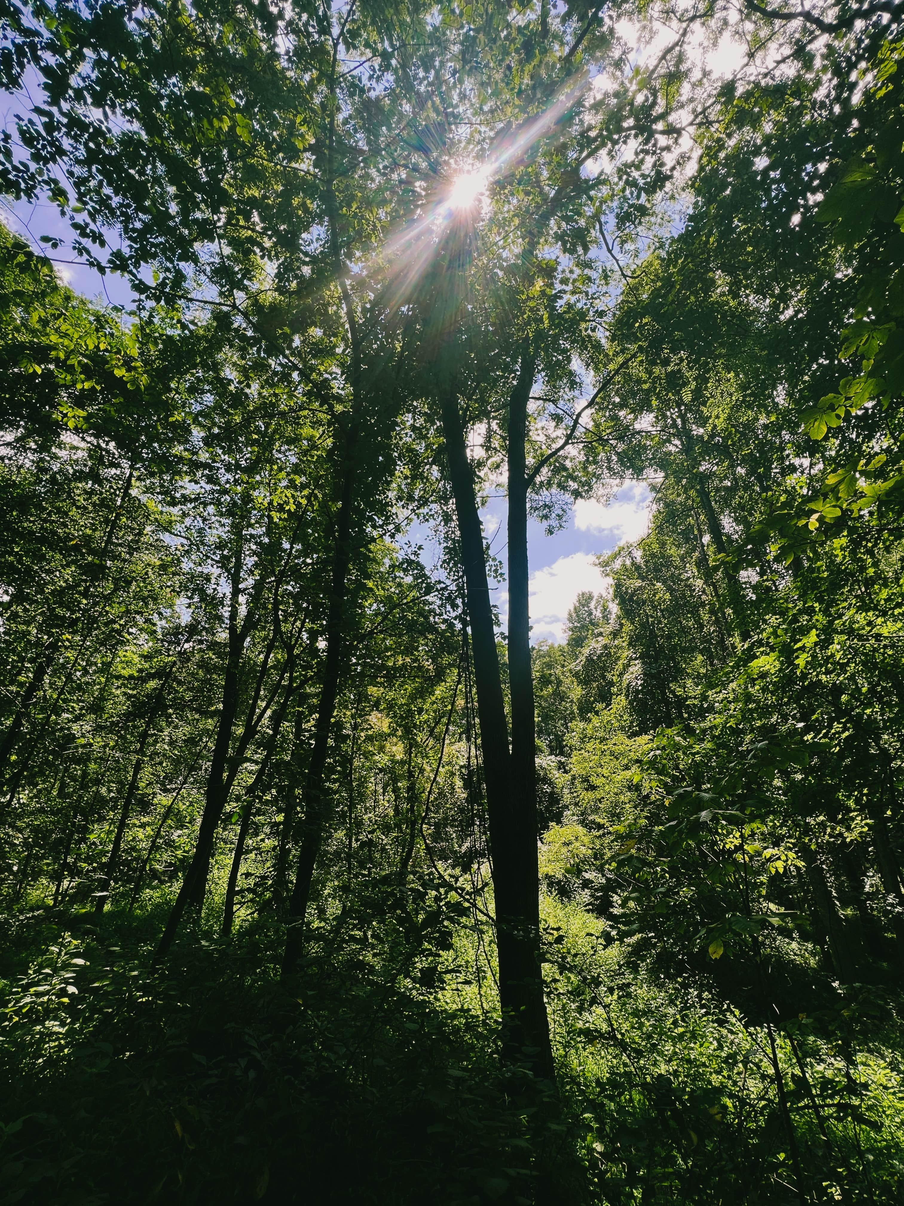 Camper-submitted photo at Cove View Campground — Natural Tunnel State Park near Kingsport, TN