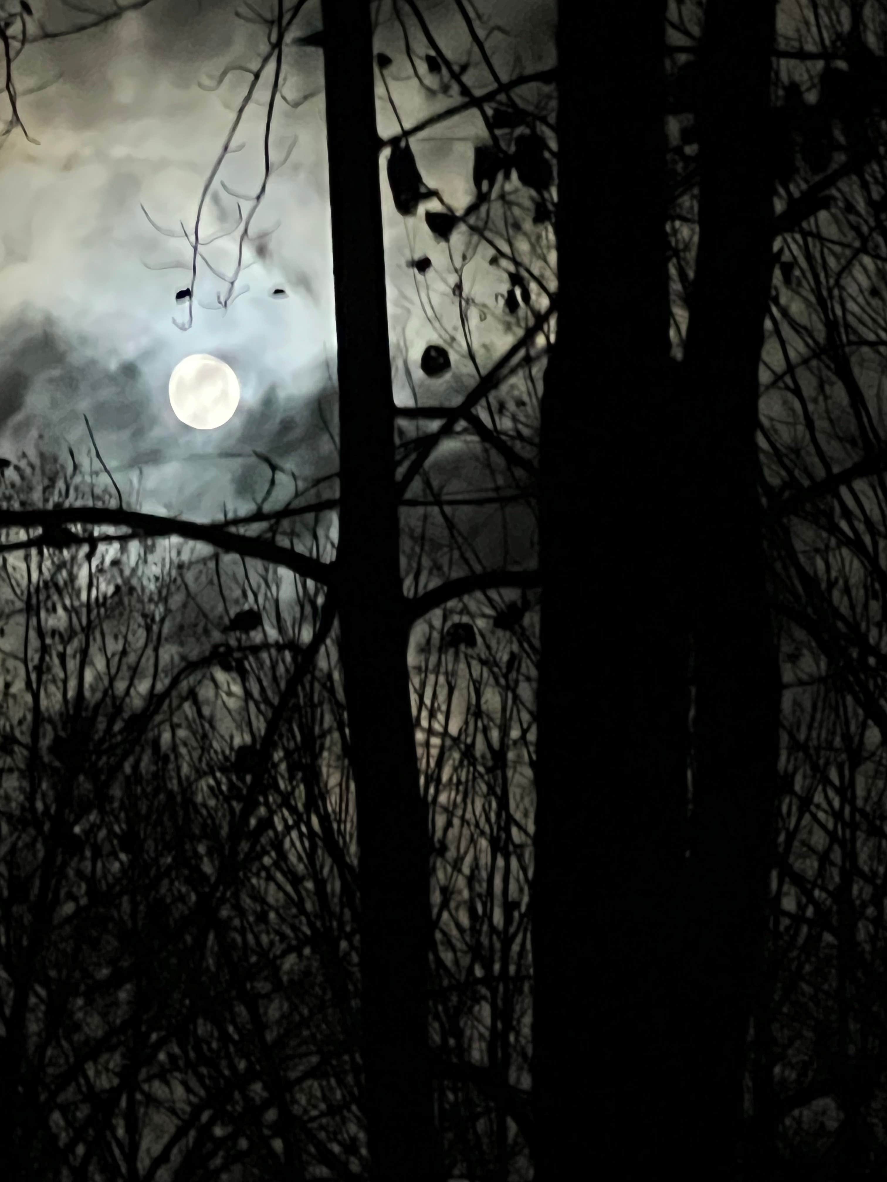 Camper-submitted photo at Cove View Campground — Natural Tunnel State Park near Kingsport, TN