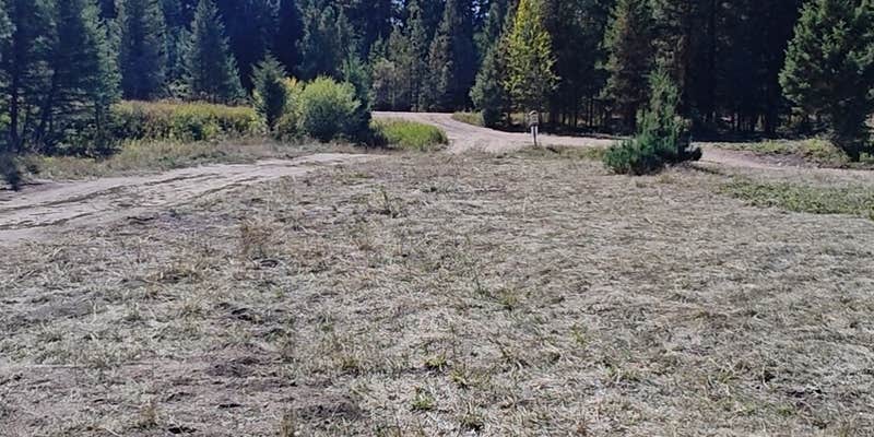 Camper submitted image from Placid Creek Pull Off