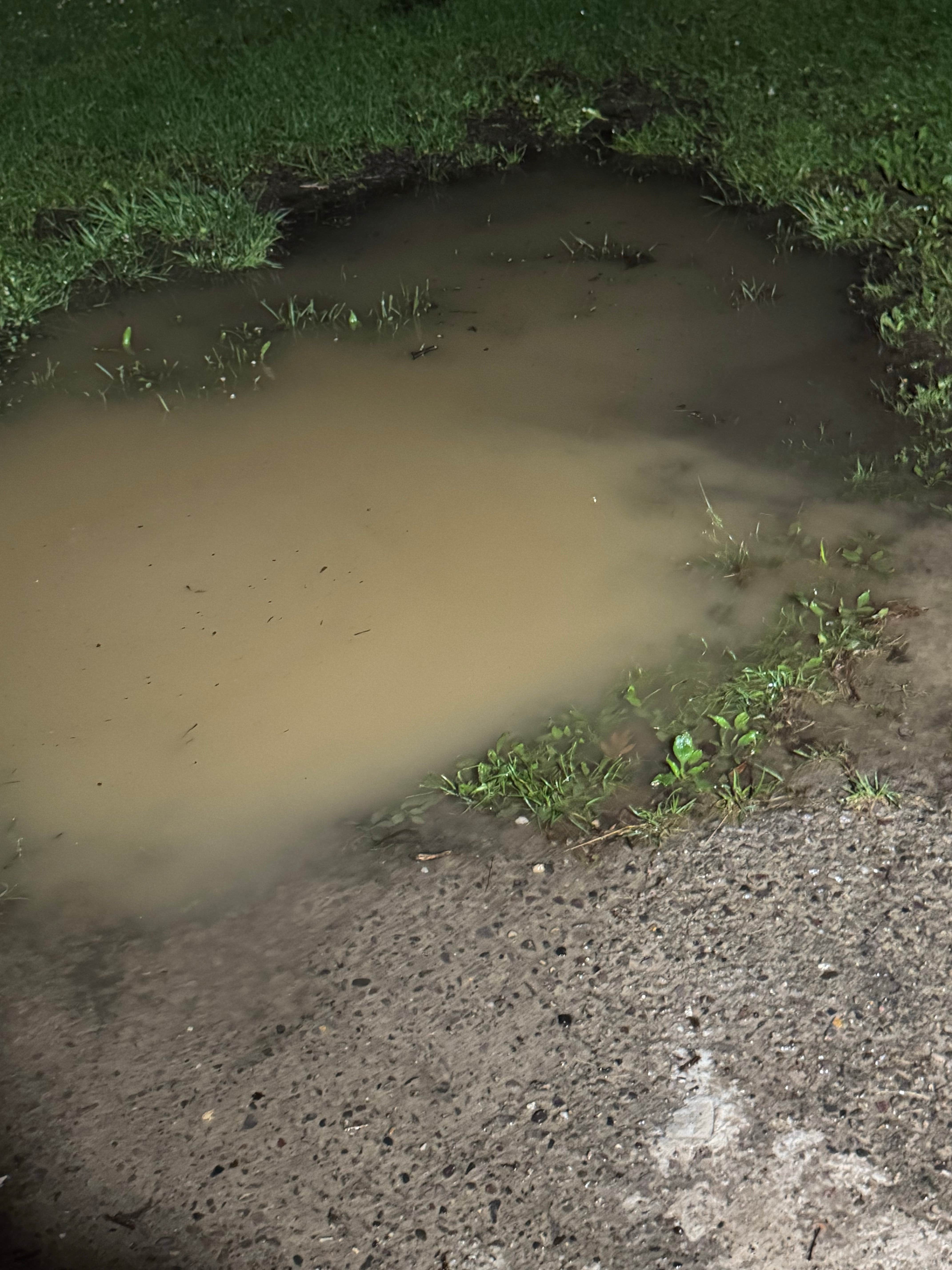 Camper submitted image from Nature's Touch Campground - 5