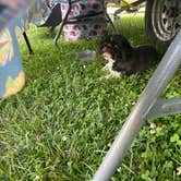 Review photo of Nature's Chain of Lakes Campground by Sukie P., March 8, 2026