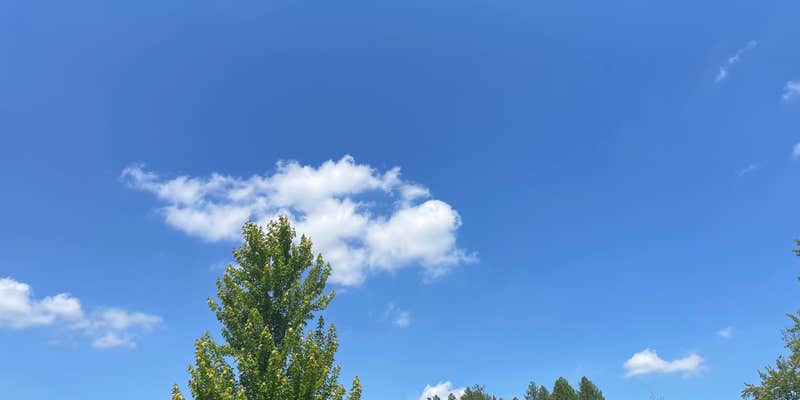 Camper submitted image from Nature's Chain of Lakes Campground