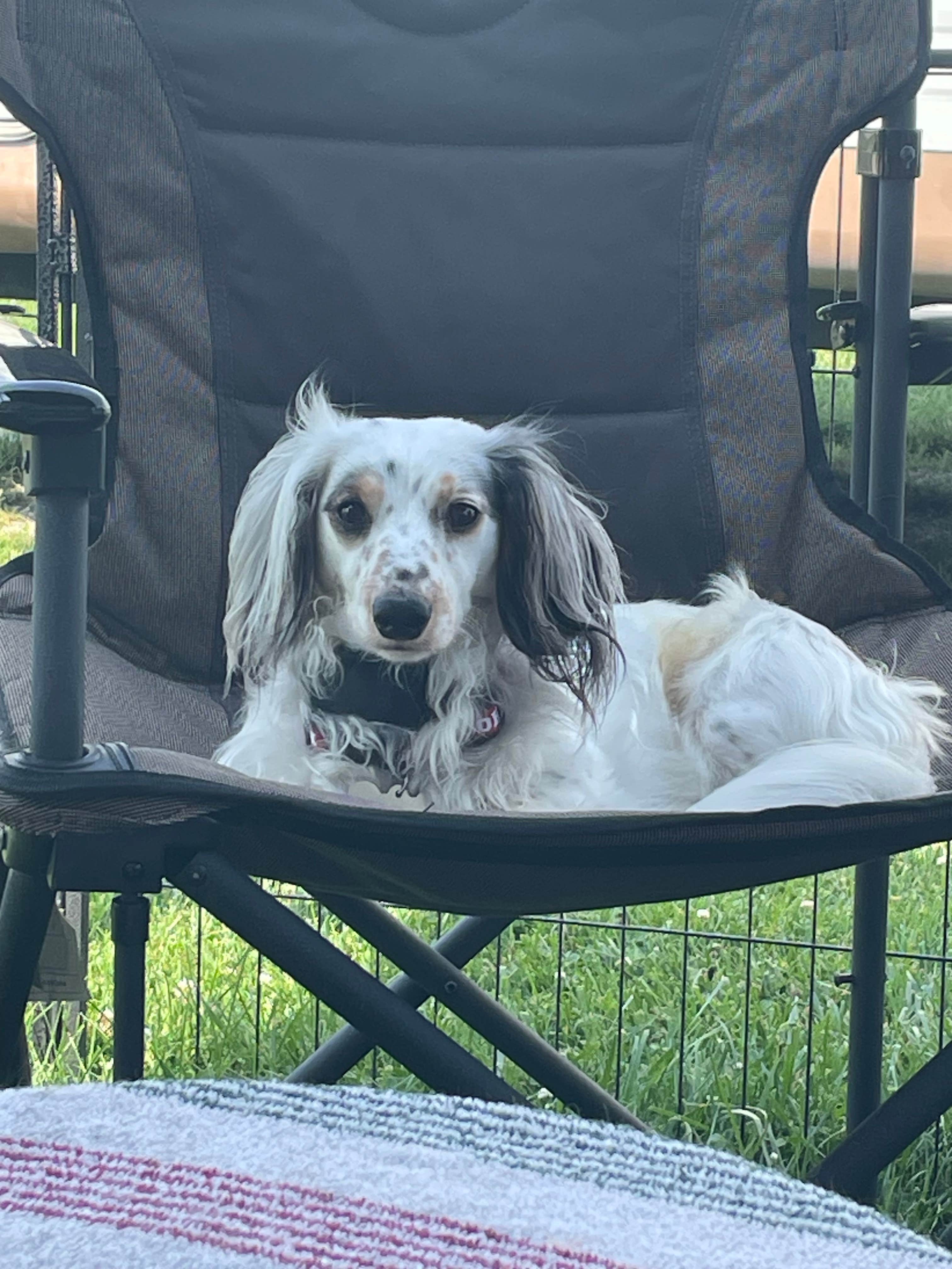 Camper-submitted photo at Nature's Chain of Lakes Campground near Stanton, MI