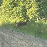 Review photo of Nature's Chain of Lakes Campground by Sukie P., March 8, 2026