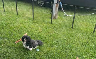 Sukie P.'s photo of camping with pets at Nature's Chain of Lakes Campground near Ionia, MI