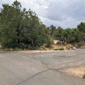 Review photo of Navajo National Monument Sunset View Campground by Roger W., June 14, 2024