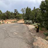 Review photo of Navajo National Monument Sunset View Campground by Roger W., June 14, 2024