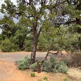 Review photo of Navajo National Monument Sunset View Campground by Roger W., June 14, 2024