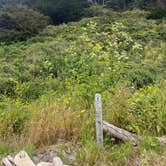 Review photo of Navarro Beach Campground — Navarro River Redwoods State Park by Hattie R., June 17, 2025