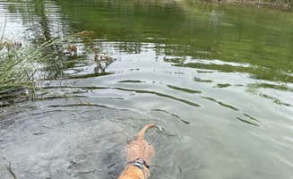 Jim P.'s photo of camping with pets at Neal's Lodge near Brackettville, TX